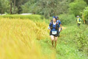 BIB: 1543
                            <button type="button" onclick="openModal(13434979)" class="btn btn-primary btn-sm float-right btn-popup" data-toggle="modal" data-target=".modal-high-quality">
                        <i class="fas fa-shopping-cart"></i> Add to Cart
                    </button>
                                            <button type="button" onclick="isThisMe(13434979, true)" class="btn btn-success btn-sm float-right btn-popup btn-isme hidden" data-toggle="tooltip" data-placement="bottom" title="นี่คือรูปของคุณใช่ไหม คลิกที่นี่เพื่อเอาเข้าอัลบั้ม">
                        <i class="fas fa-plus"></i> Add to album
                    </button>
                    <button type="button" onclick="isThisMe(13434979, false)" class="btn btn-warning btn-sm float-right btn-popup btn-isnotme hidden">
                        <i class="fas fa-ban"></i> Remove from album
                    </button>